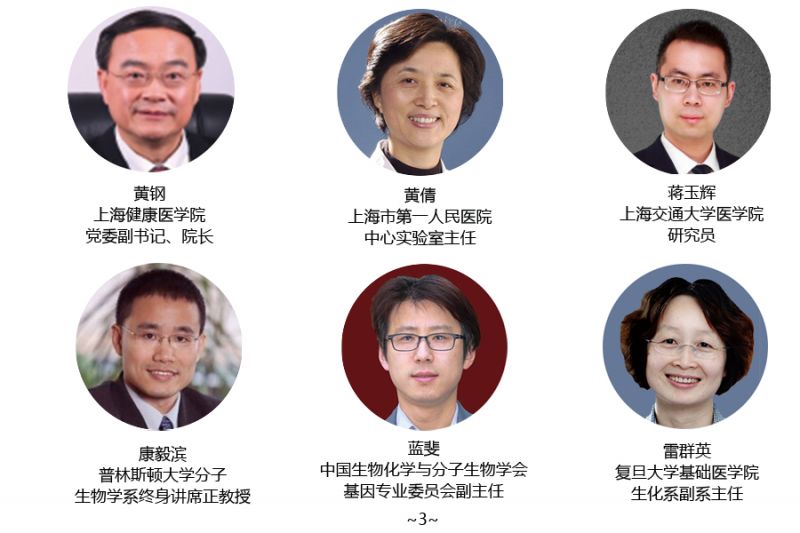 专家3.png