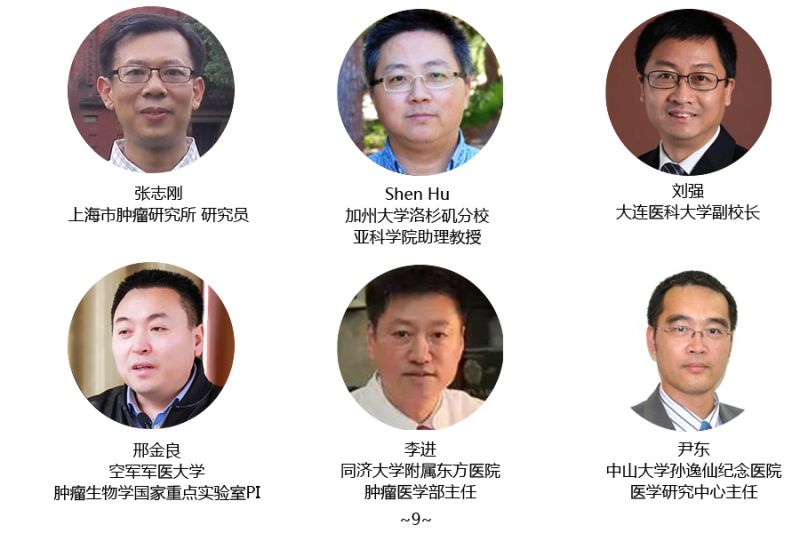 专家9.png
