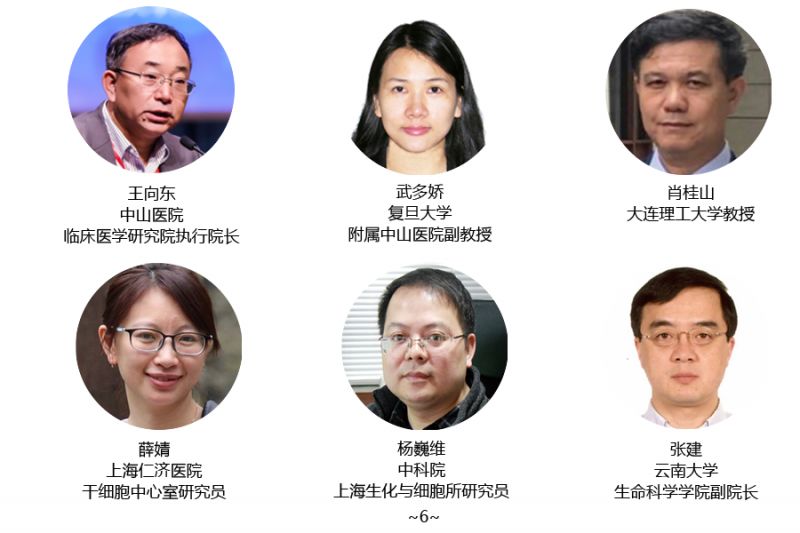 专家6.png