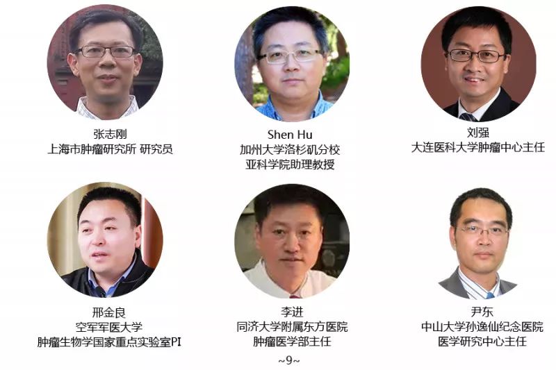 专家9.png