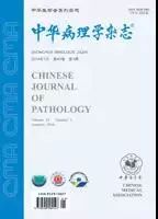 中国专家共识：乳腺癌易感基因的下一代测序技术检测流程标准规范