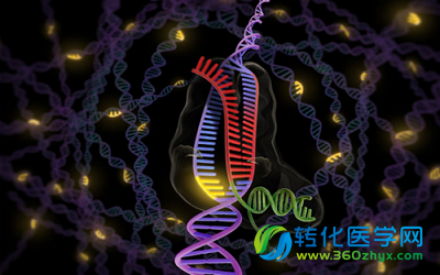 Nature子刊：精确检测CRISPR脱靶效应的新方法