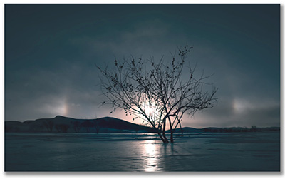 袁钟：死亡智慧