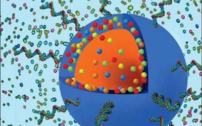 Scientificreports:新型纳米药物，特异性杀伤肿瘤细胞！