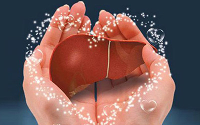 权威期刊：阻止肝癌进展的新方法