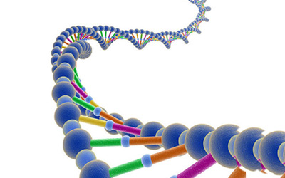 DNA保存时间有期限 复活史前生物或永不可能