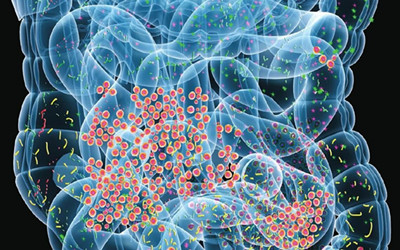 肠道菌将成为你的私人医生？看技术创新如何颠覆医学概念