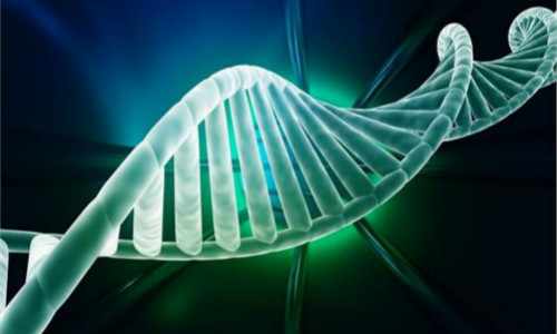 【精华荟萃，落地指导】BioCon生物药物创新及研发国际研讨会成功召开