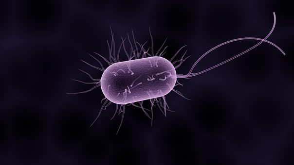 微生物检测:NGS和质谱为行业变革带来契机