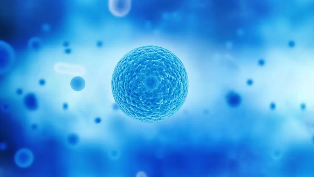【Adv. Sci.】复旦大学等合作发文：揭示新型肿瘤联合治疗策略