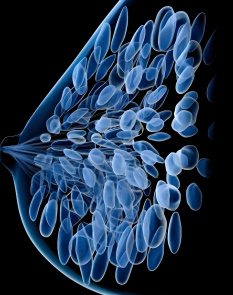 “最毒乳腺癌”治疗迎来转折点！天津医科大学团队发现免疫逃逸新机制，提出联合治疗新方案