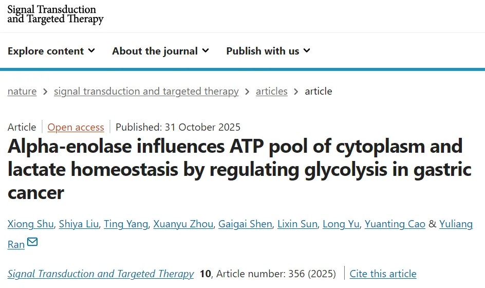STTT | 中国医学科学院肿瘤医院冉宇靓教授等揭示胃癌代谢新机制，二甲双胍联合用药展现强效抗肿瘤效果