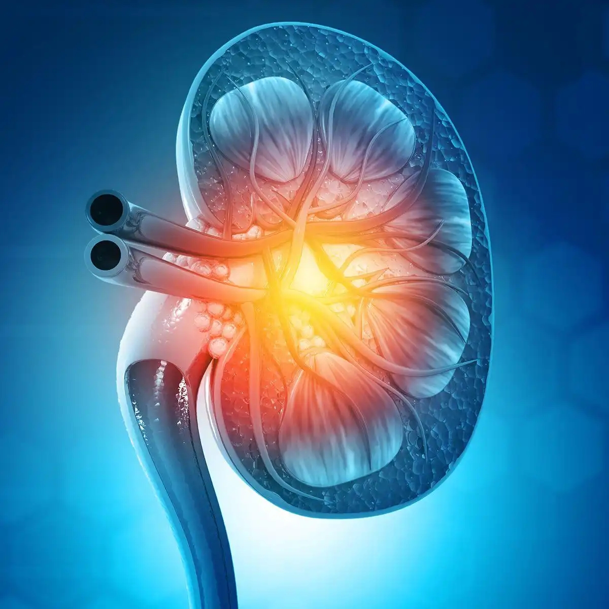 新见解！重庆医科大学附属第一医院：精确和低毒性的肾癌纳米疗法