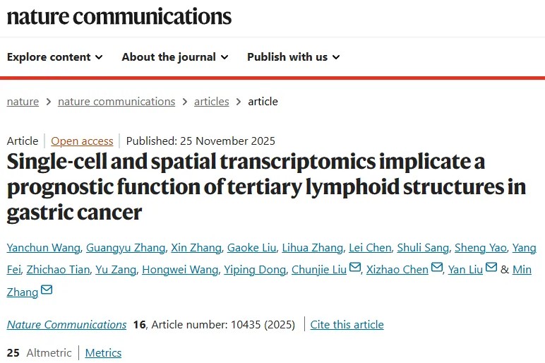 重磅研究！首次系统揭示三级淋巴结构在胃癌免疫微环境中的关键作用，开发创新工具精准预测免疫治疗反应