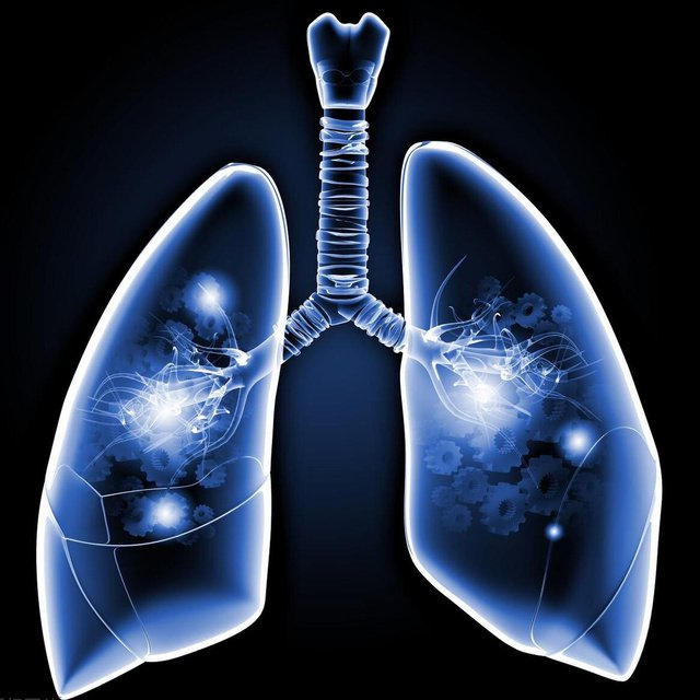 促进血管生成和肿瘤侵袭！复旦大学附属中山医院（厦门）：肺腺癌诊断标志物和治疗靶点