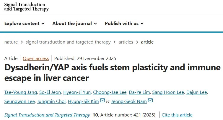 STTT | 研究团队首次系统揭示Dysadherin/YAP轴在肝癌干细胞可塑性及免疫逃逸中的关键作用