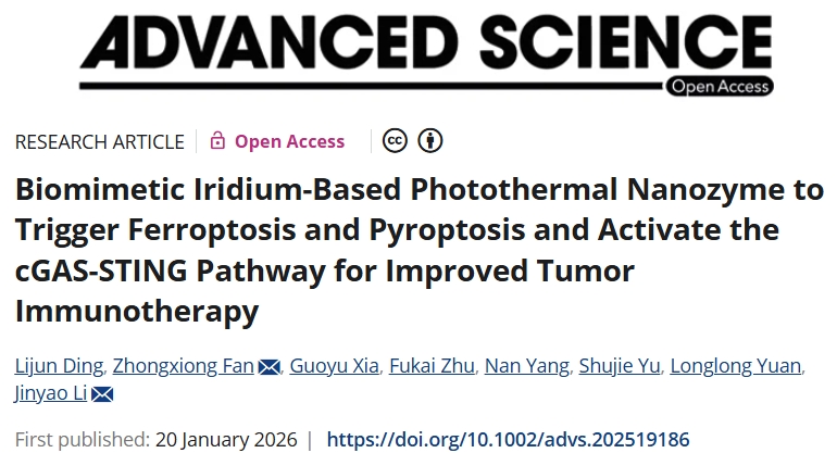 可有效杀死肿瘤并触发免疫反应！新疆大学：有前景的癌症治疗策略