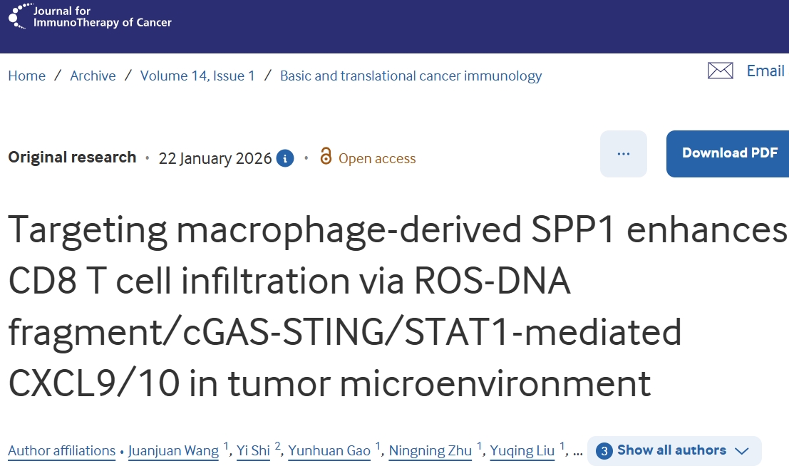 增强细胞浸润！南开大学/天津市人民医院：癌症免疫治疗有前景的策略