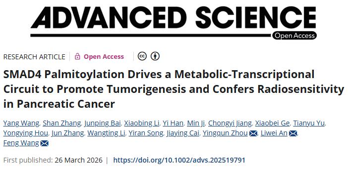 双重作用！上海大学等单位合作发文：胰腺癌治疗潜在靶点