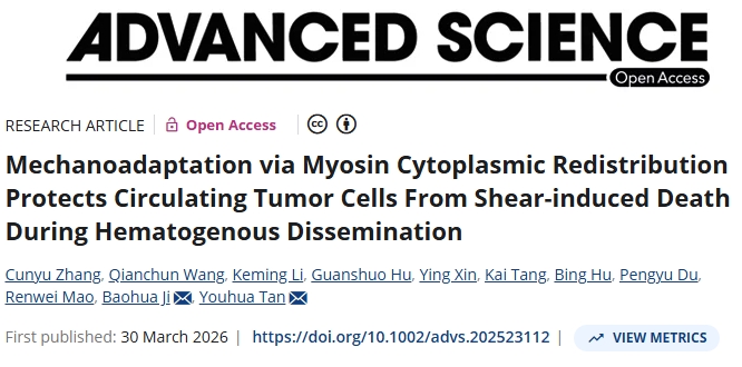 首次关注！香港理工大学/浙江大学合作发文：乳腺癌抗转移治疗新策略